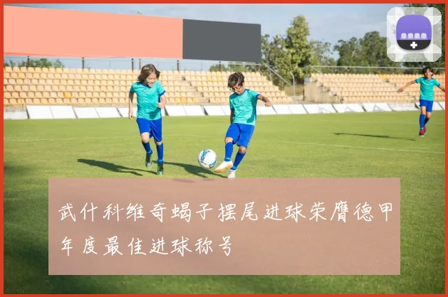 武什科维奇蝎子摆尾进球荣膺德甲年度最佳进球称号