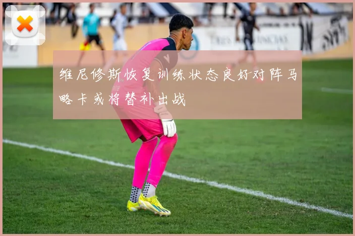 维尼修斯恢复训练状态良好对阵马略卡或将替补出战